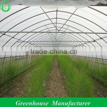 Uv Film Single Span Greenhouse