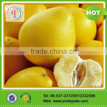 chinese honey pomelo