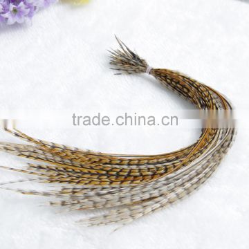 2015 Best Selling Cheap Colorful Real Feather Hair Extension