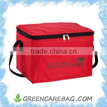 Promotional insulated cooler box