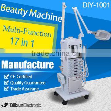 hotsale 17 in 1 multifunction facial beauty instrument DIY-1001