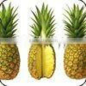 Fresh Organic Pineapple