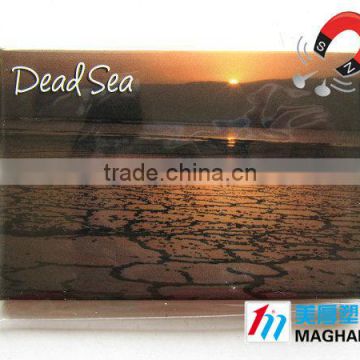 Dead sea tourist fridge magnet,french souvenir,metal magnets souvenirs