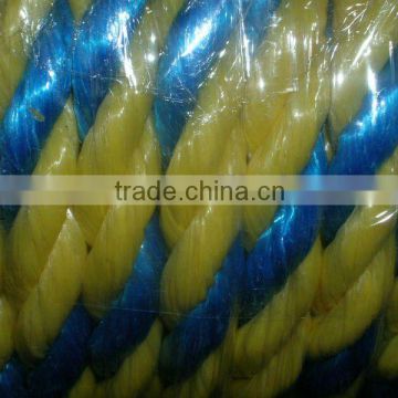 PP Rope Color Yellow&Blue