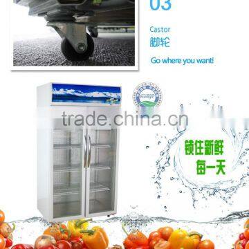LC/S 1200K Used Glass Door Display Freezers Drink Milk Drug Fridge Solid Door Vertical Display Freezer photo-5