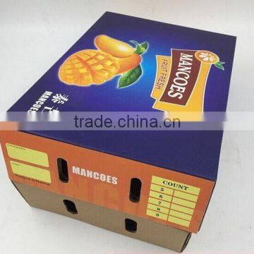 China Supplier Cheap Fruit Packaging Box photo-3