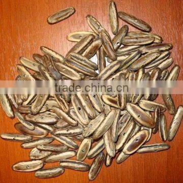 Pachaco Seeds' Beads