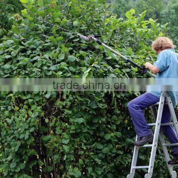 Gardener for Saudi Arab