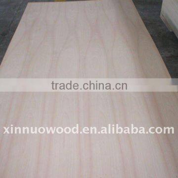 3-18mm bintangoe poplar plywood