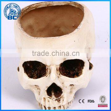 Skull Model Resin Human Skull Model For Sale