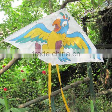 Weifang Kaixuan Parrot Bird Kite