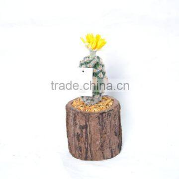 Potted Green Artificial Cactus Succulent Plant With Top Yellow Flower