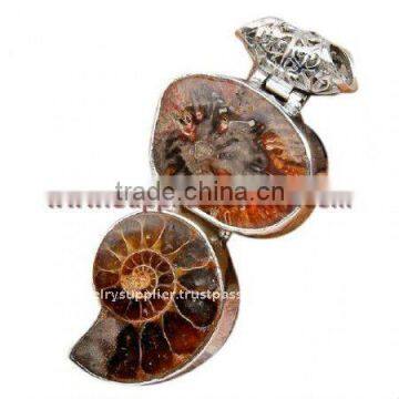 Lovely Attraction!! Ammonite Fossil Petrified Wood Jewelry