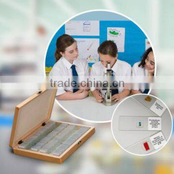 Factory Price Human Histological Oral Slides,pathological Prepared Slides,7101 Microscope Slides photo-3