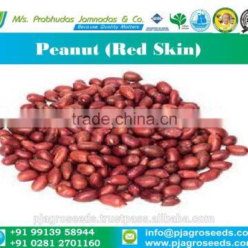 Red Skin Peanut Bold 50-60
