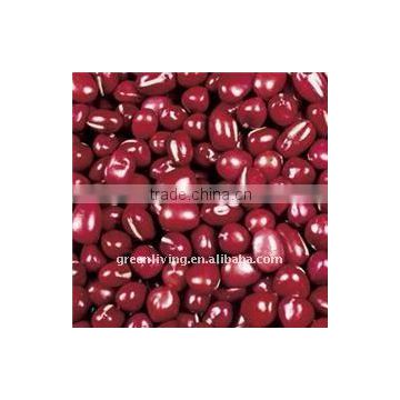 2011 red kidney beans(from china have good market)