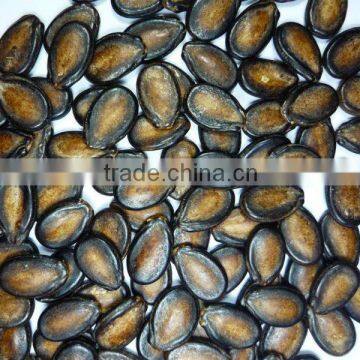 watermelon seed kernel high quality best service