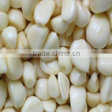 Organic Allium sativum L new crops of 2011