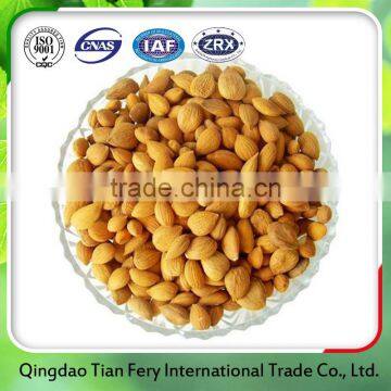 Wholesale china factory apricot kernels