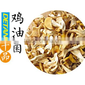 Wild Organic Dry Cantharellus cibarius mushroom