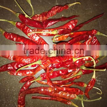 High Quality Dry Chilly S4