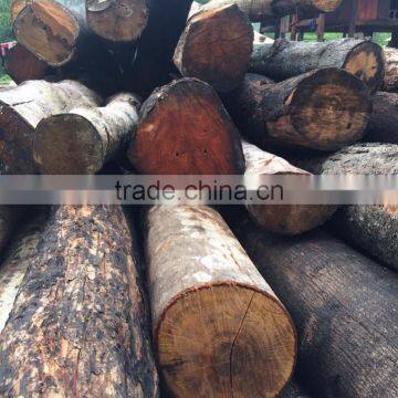 the better choice for firewood element