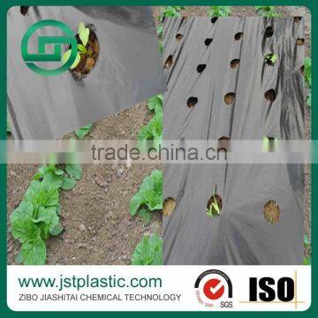 PE plastic perforated mulch film with holes