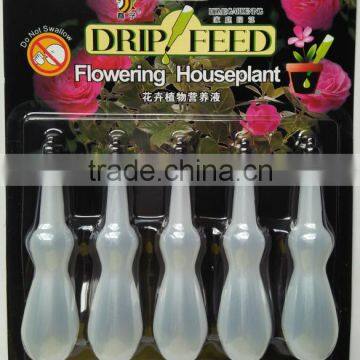 Drip Feed Flowering Houseplant