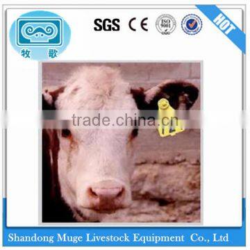 Livestock Industry Blank Ear Tag