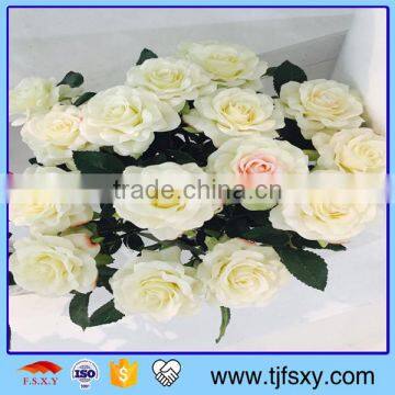 Simulation Art Rose photo-3