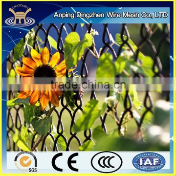 Popular Used Chain Link Wire Mesh Decorative border fencing/ Backyard border fence