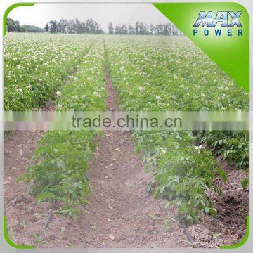 Good Quality Drip Irrigation Machine photo-3