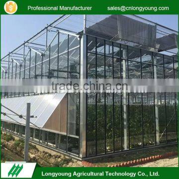 2017 Popular stable structure agriculture glass single venlo greenhouse