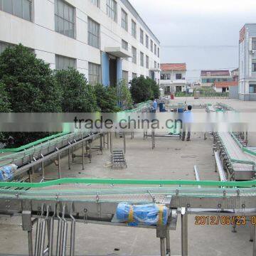 Filled Bottles Conveyor System photo-2