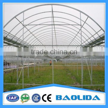 Galvanized Steel Structure Decorative Greenhouse