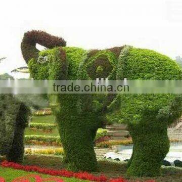 China Garden Decoration Wire Animals Decorative Artificial Grass photo-4