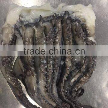 For BBQ 2-4 Kgs Frozen Giant Squid Tentacles photo-3