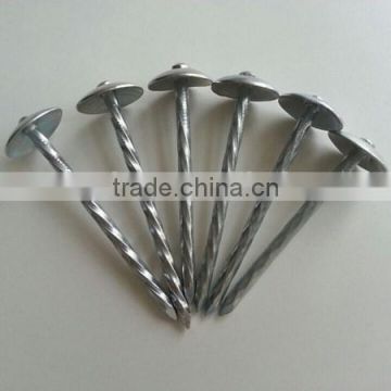 top quality umbrella roofing nails