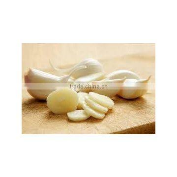 Garlic Dry Extract