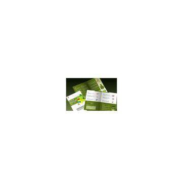 leaflet printing service