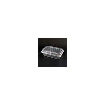 Plastic Food Container (fruit box)