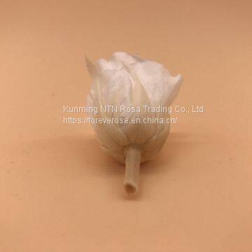 Timeless Moments Flowers Preservation for Anniversary Decoration photo-3