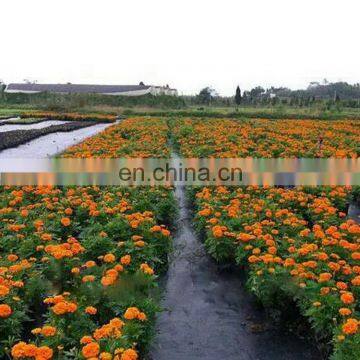 High Quality Polyethylene Garden Weed Control Planting Mat photo-3