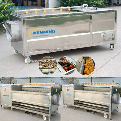 Potato / Carrot / Pumpkin / Lotus Root Brush Washing & Peeling Machine photo-5