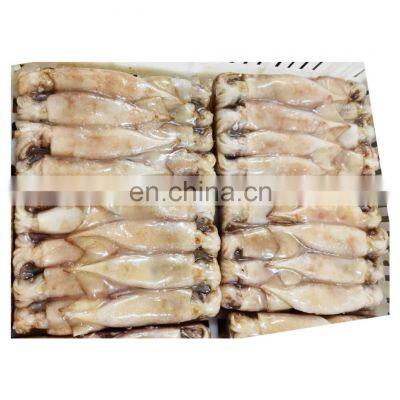 Hot sale frozen illex squid block for fishing bait