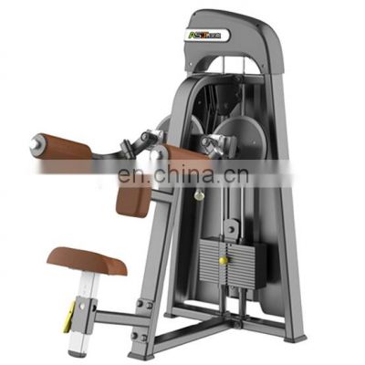 gym fitness equipment arm supplier asj S804 lateral raise machine wholesaler price