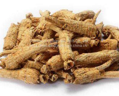 American Ginseng Extract Ginsenosides 80%, Panax quinquefolius Extract, American Ginseng Stem leaf ExtractExtract