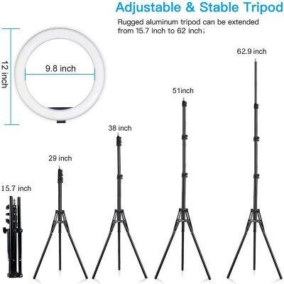 12in Photography LED Selfie Ring Light Three-speed Stepless Lighting Dimmable With Cradle Head For Makeup Video Live Studio photo-5