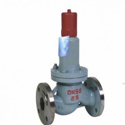 Manufacturer Direct Sales Parallel Reflux Safety Valve