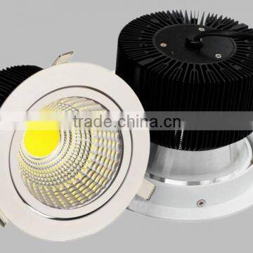 50000H 75V-260V 90-110Lm/W 2700K-7000K 15W COB LED Ceiling Light